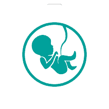 Pregnancy Friendly diets